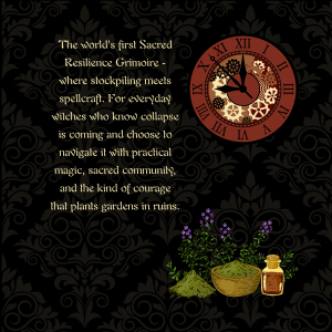 Sacred Resilience Grimoire Economic Collapse Preparation Guide