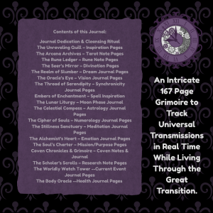 Communing With The Universe | Complete Mystical Practice Integration Planner I Personal & Collective Transition Planning - Image 3