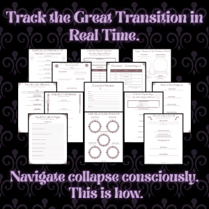 Communing With The Universe | Complete Mystical Practice Integration Planner I Personal & Collective Transition Planning - Image 5