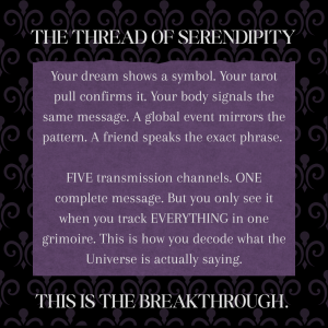 Communing With The Universe | Complete Mystical Practice Integration Planner I Personal & Collective Transition Planning - Image 7