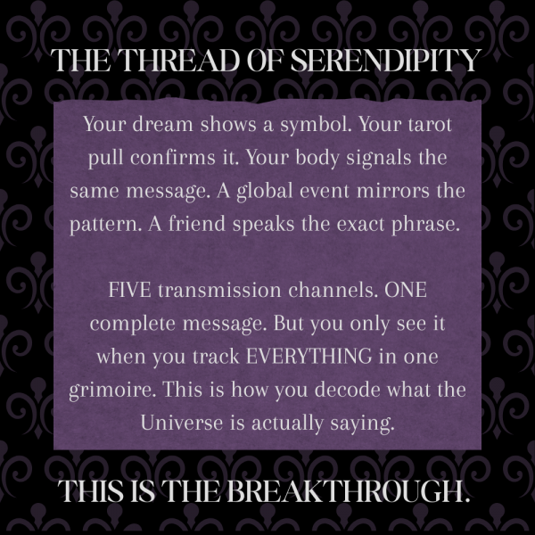 Communing With The Universe | Complete Mystical Practice Integration Planner I Personal & Collective Transition Planning