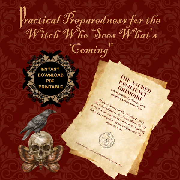 Sacred Resilience Grimoire Economic Collapse Preparation Guide