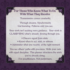 Communing With The Universe | Complete Mystical Practice Integration Planner I Personal & Collective Transition Planning - Image 2