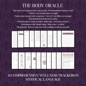 Communing With The Universe | Complete Mystical Practice Integration Planner I Personal & Collective Transition Planning - Image 8