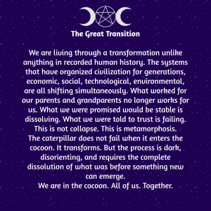 The Evolution of Clear Thinking Guide & Companion For Those Leading Conscious Movements