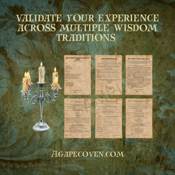 The Wisdom Seekers Survival Guide I The Great Transition I Crisis Protocol For Everyday People