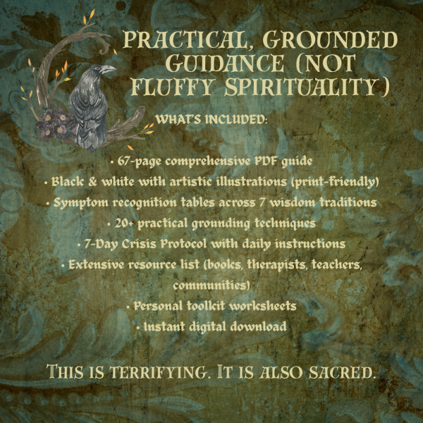 The Wisdom Seekers Survival Guide I The Great Transition I Crisis Protocol For Everyday People