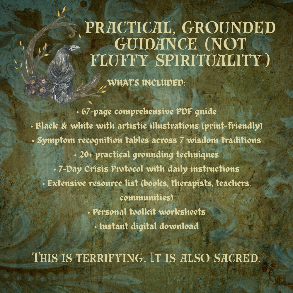 The Wisdom Seekers Survival Guide I The Great Transition I Crisis Protocol For Everyday People - Image 5