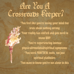 The Wisdom Seekers Survival Guide I The Great Transition I Crisis Protocol For Everyday People