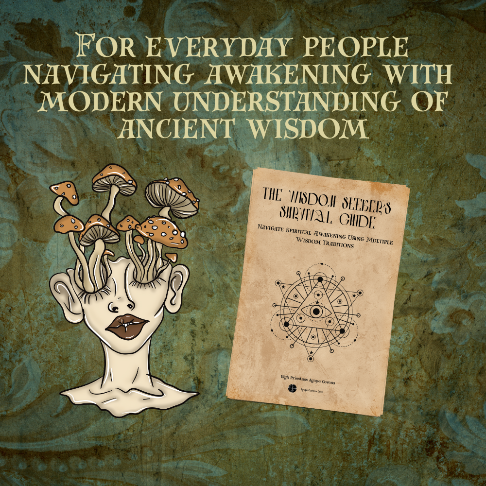 The Wisdom Seekers Survival Guide I The Great Transition I Crisis Protocol For Everyday People